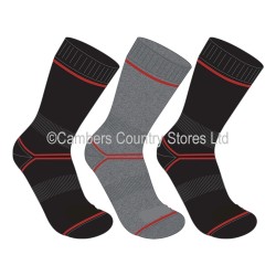 Hoggs Of Fife Cotton Comfort Work Socks 3 Pack